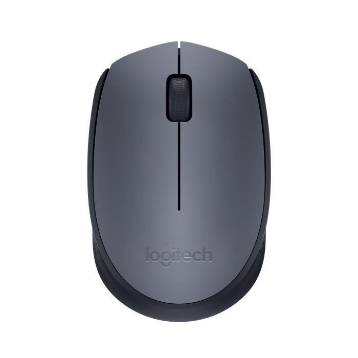 LOGITECH - Souris Sans Fil Ambidextre M170 - Gris LOGITECH