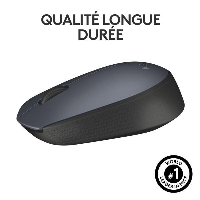 LOGITECH - Souris Sans Fil Ambidextre M170 - Gris LOGITECH