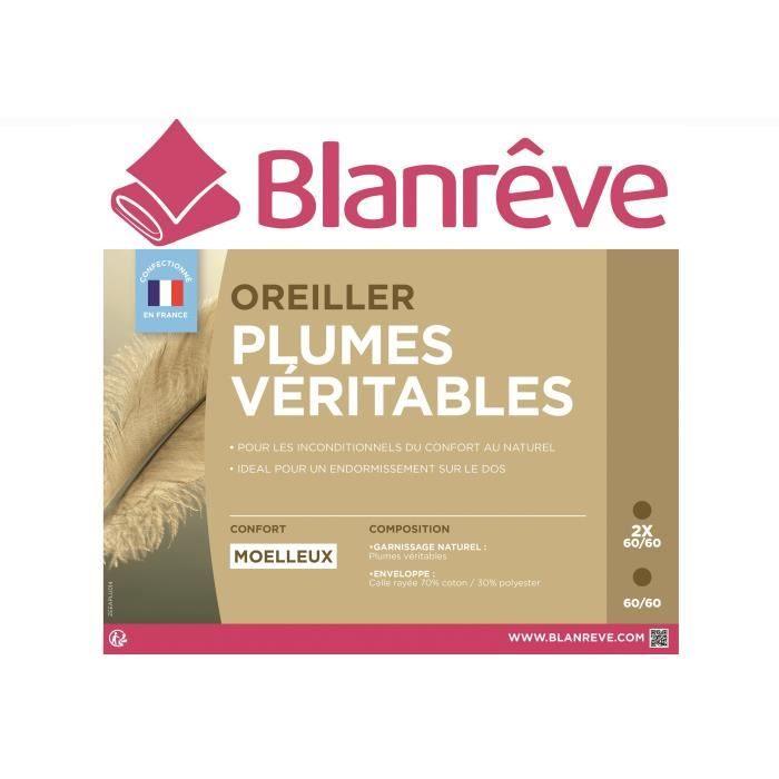 BLANREVE Lot de 2 oreillers Plumes - 60x60 cm BLANREVE