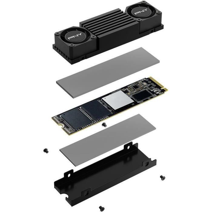 PNY - CS3150 - Disque dur SSD Interne - 1To - M.2 NVMe (M280CS3150HS-1TB-RB) PNY