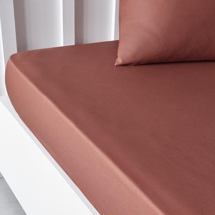 Drap housse TODAY Essential - 140 x 200+30 cm - 2 personnes - 100% Coton uni - Terracotta TODAY