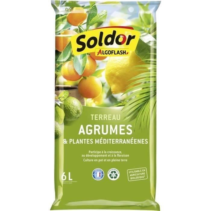 ALGOFLASH - Terreau Agrumes et Plantes Méditerranéennes 6 L - Paloma Tech