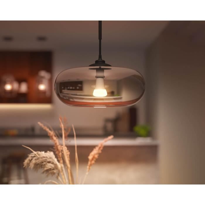 Ampoules connectées Philips Hue White Ambiance standard E27 75W a l’unité