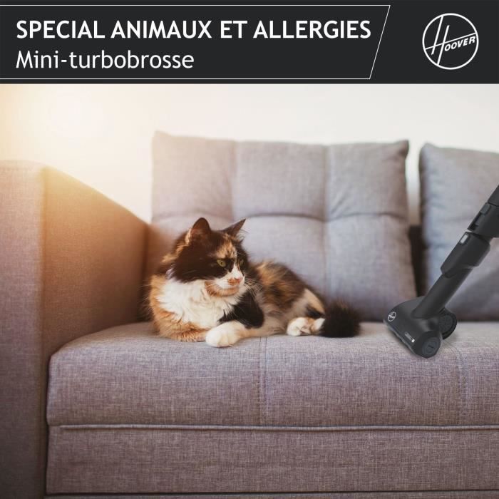 Aspirateur Traineau avec Sac - HOOVER - HE530ALG - 700 W - 4 L - 65 dBA - Spécial animaux et allergies