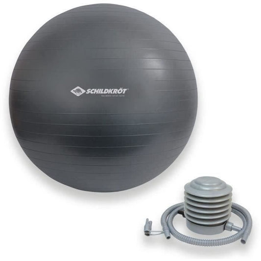 Ballon d’exercice - SCHILDKRÖT - Fitness et Yoga - Diametre 75 cm - Pompe incluse