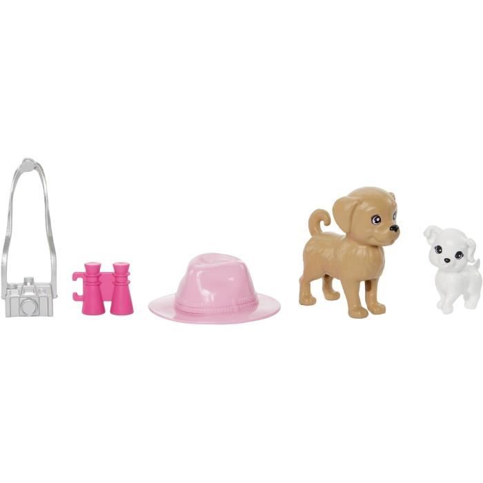 Barbie-Coffret Poupées Stacie et Barbie avec 2 chiots et accessoires HRM09