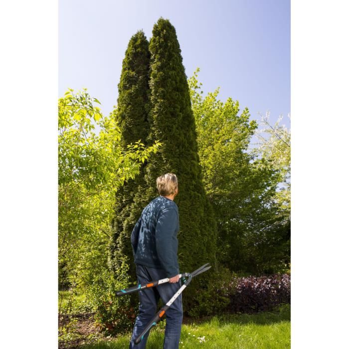 Cisaille a haies EasyCut GARDENA - Lames ondulées - Manches télescopiques - Garantie 25 ans - Paloma Tech