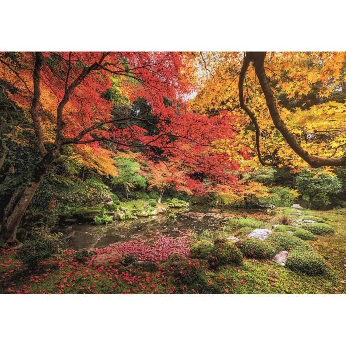 Clementoni - Puzzle paysage et nature - Autumn Park - 1500 pieces - Dimensions 59,2 x 84,3 cm - Fabriqué en Italie