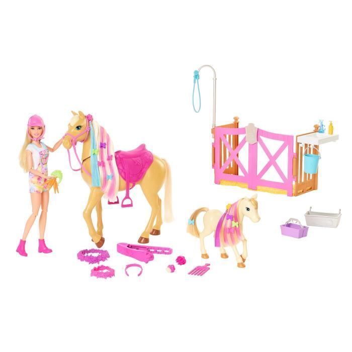 Coffret Toilettage des Chevaux Barbie avec 1 poupée 2 chevaux et plus de 20 accessoires pour les enfants de 3