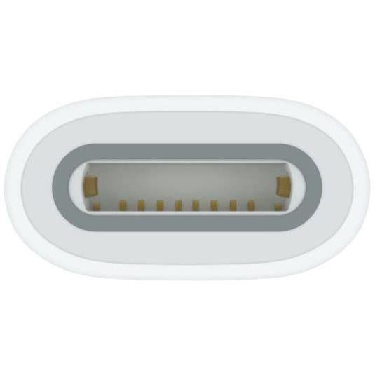 Connectique et chargeurs pour tablette Apple Adaptateur USB-C vers Apple Pencil - Paloma Tech