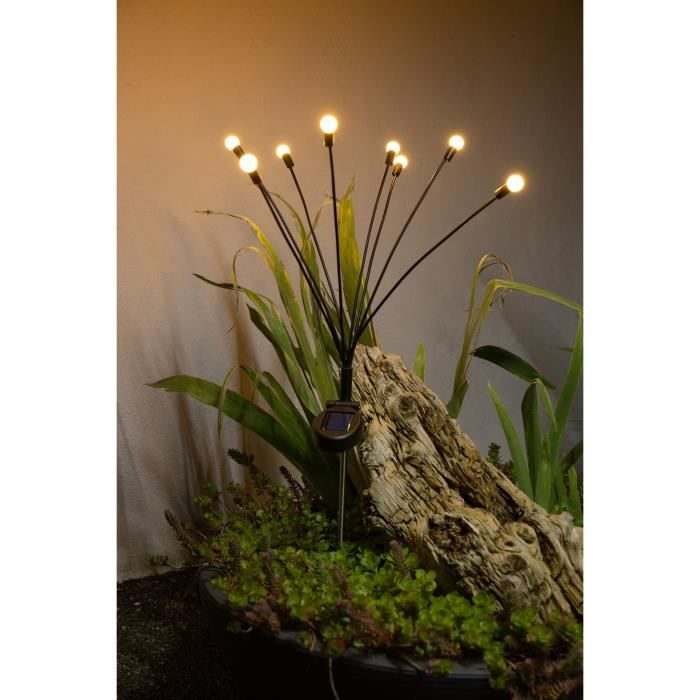 Decoration lumineuse solaire GALIX G4435 - Forme Bouquet - 8 LED - H69cm - Paloma Tech