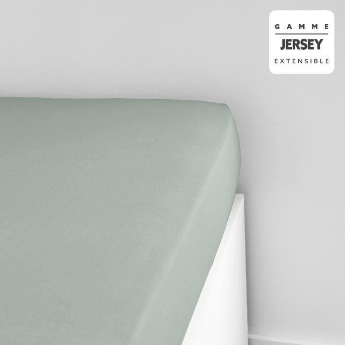 Drap housse TODAY Essential - 140 x 190+25 cm - 1 personne - 100% Coton jersey - Celadon - Paloma Tech