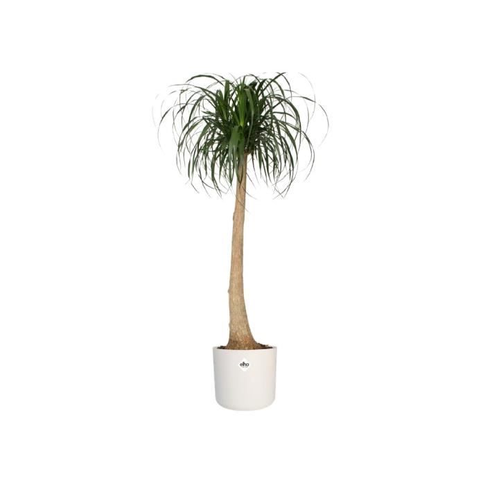 ELHO B.for Soft Pot de fleurs rond 35 - Blanc - Ø 35 x H 32 cm - intérieur - 100% recyclé - Paloma Tech