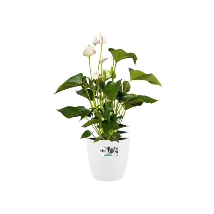 ELHO Brussels Pot de fleurs rond Roues 47 - Blanc - Ø 47 x H 44 cm - intérieur - 100% recyclé - Paloma Tech