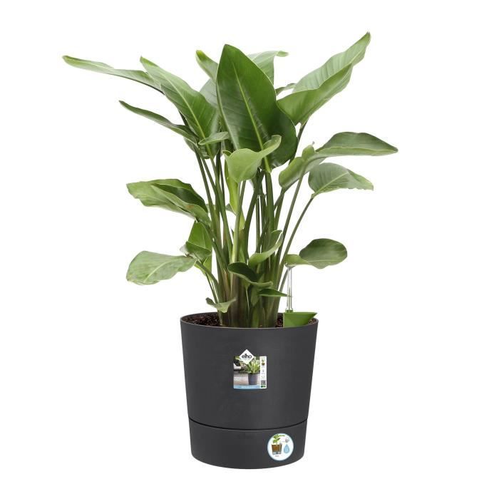 Elho Greensense Aqua Care Rond 43 - Gris - Ø 43 x H 43 cm - intérieurextérieur - 100% recyclé - Paloma Tech