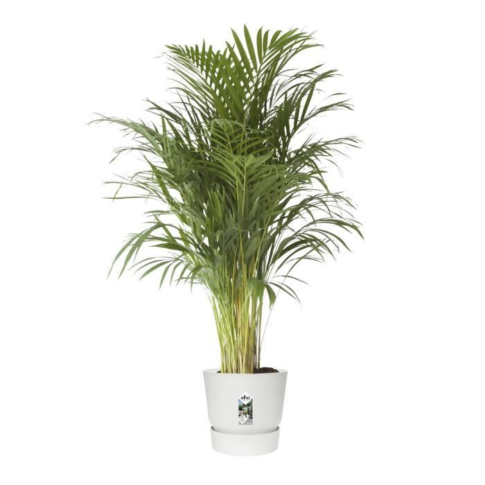 elho  Greenville Pflanztopf Ø47 cm Pot a Plantes weiß - 123 - Paloma Tech