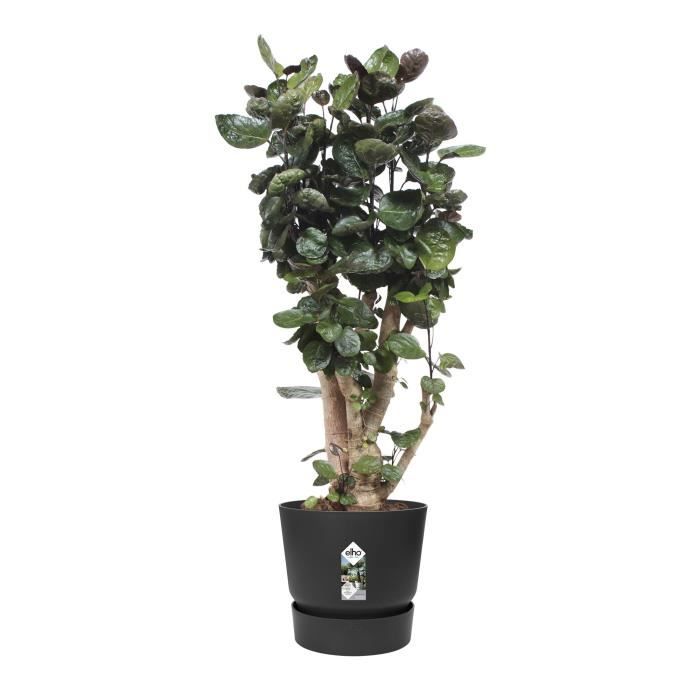 ELHO Greenville Pot de fleurs rond 47 - Noir - Ø 47 x H 44 cm - extérieur - 100% recyclé - Paloma Tech