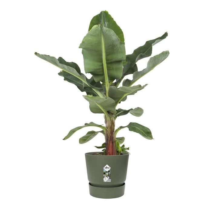 ELHO Greenville Pot de fleurs Rond 55 - Vert - Ø 55 x H 50 cm - extérieur - 100% recyclé