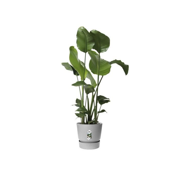 ELHO Greenville Pot de fleurs rondØ 47 x H 44 cm - extérieur - 100 47 - Gris - % recyclé - Paloma Tech