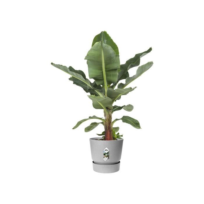 ELHO Greenville Pot de fleurs rondØ 47 x H 44 cm - extérieur - 100 47 - Gris - % recyclé - Paloma Tech