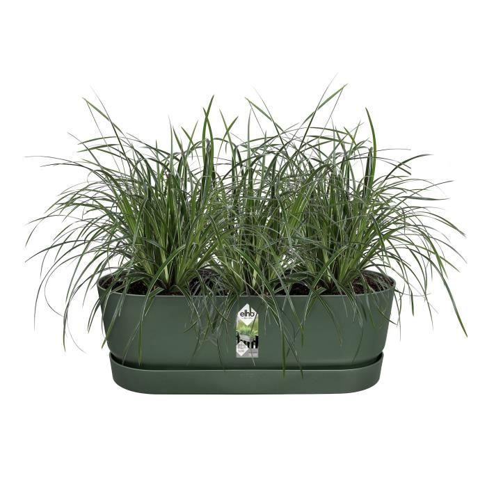 ELHO - Pot de fleurs  -  Greenville Easy Balcony 52 - Leaf Green - Balcon - L 21.2 x W 52 x H 19.4 cm - Paloma Tech