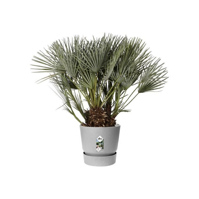 ELHO Pot de fleurs rond Greenville 40 - Extérieur - Ø 39 x H 36,8 cm - Gris béton vivant - Paloma Tech