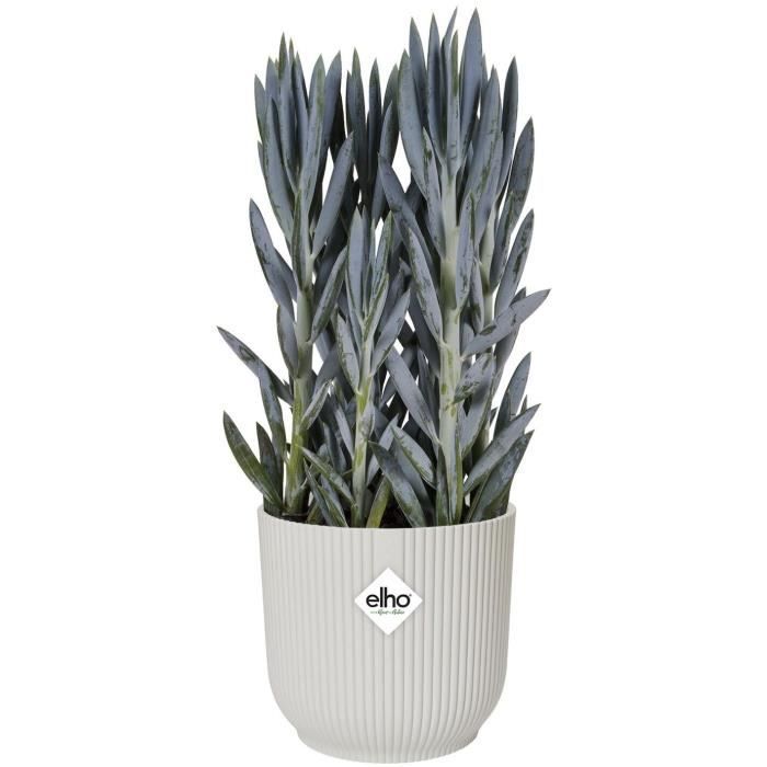 Elho Pot de fleurs Rond VIBES - Plastique - Ø25xH 23.0 cm - Blanc/Blanc soie - Paloma Tech