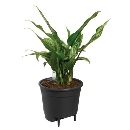 Elho Self-watering Insert Pot a fleurs 33 - Noir - Ø 33 x H 31 cm - intérieuraccessoires - 100% recyclé - Paloma Tech