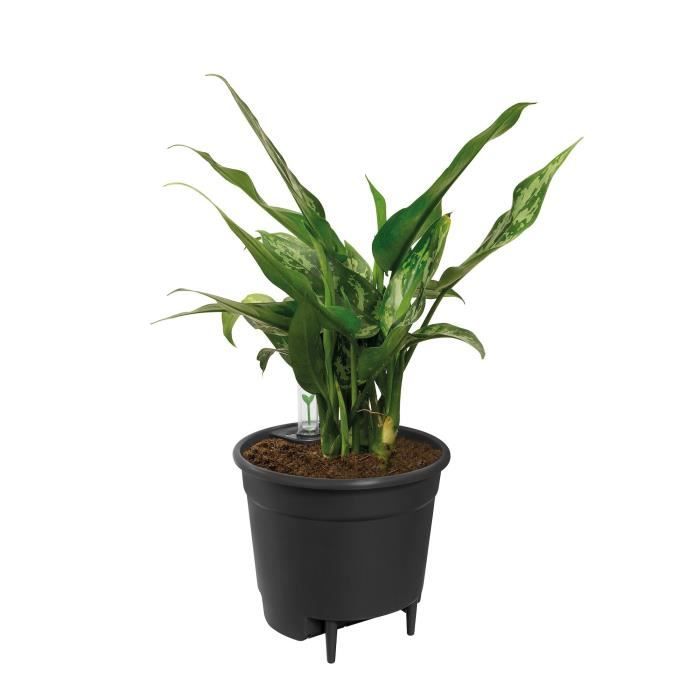 Elho Self-watering Insert Pot a fleurs 36 - Noir - Ø 36 x H 35 cm - intérieuraccessoires - 100% recyclé - Paloma Tech