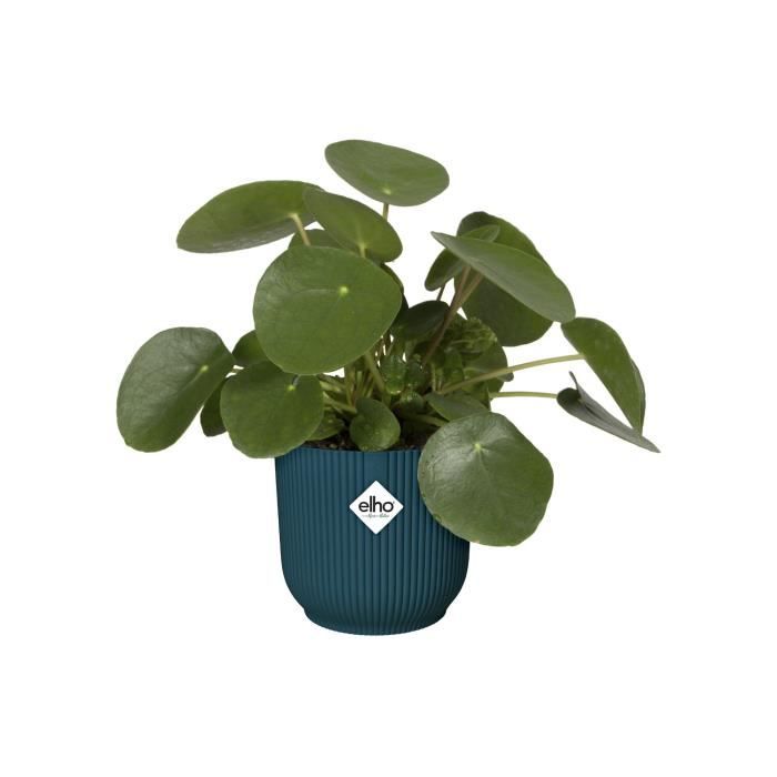 ELHO Vibes Fold Pot de fleurs rond Roues 35 - Bleu - Ø 35 x H 32 cm - intérieur - 100% recyclé - Paloma Tech