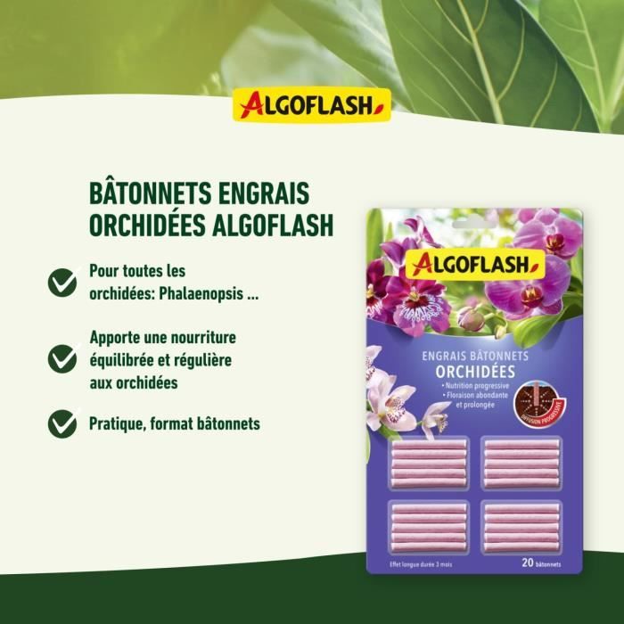 Engrais pour orchidées - ALGOFLASH - 20 bâtonnets - Action jusqu'a 3 mois - Paloma Tech