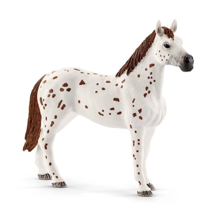 Entraînement au concours du Horse Club coffret schleich avec 17 éléments inclus dont 3 chevaux schleich coffret