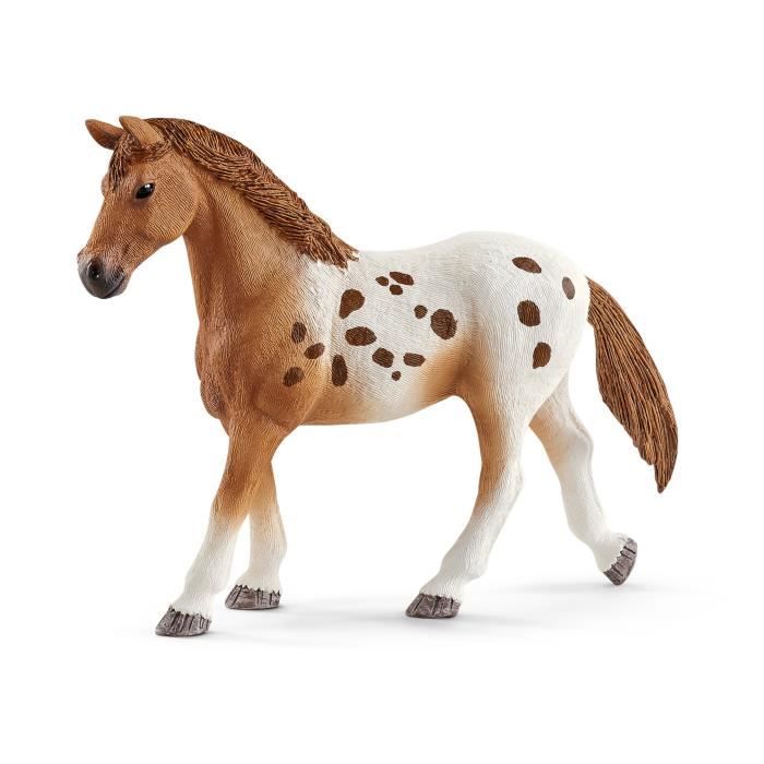 Entraînement au concours du Horse Club coffret schleich avec 17 éléments inclus dont 3 chevaux schleich coffret