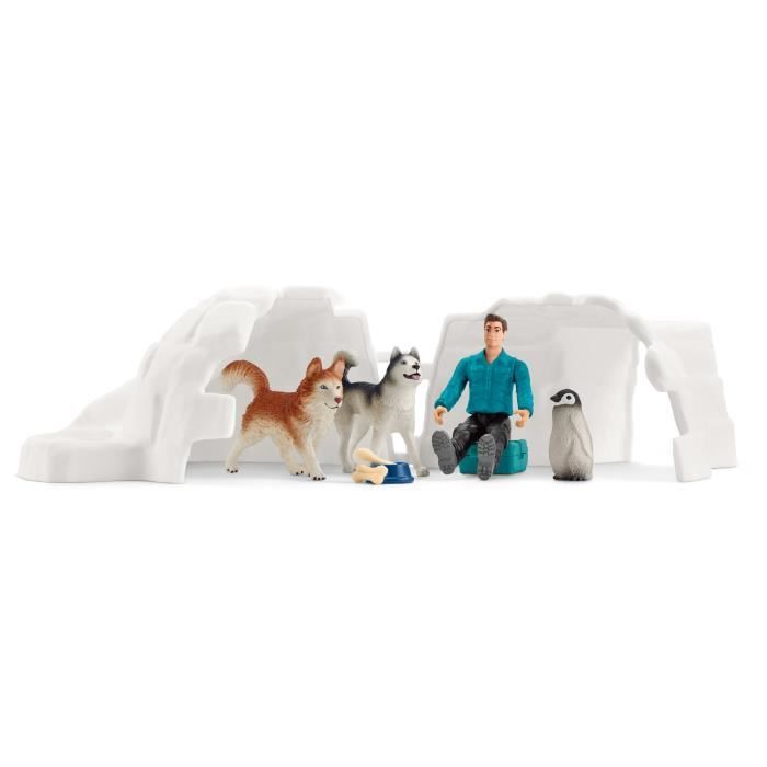 Expédition en Antarctique Coffret schleich d’animaux National geographic SCHLEICH 42624 Wild Life des 5 ans