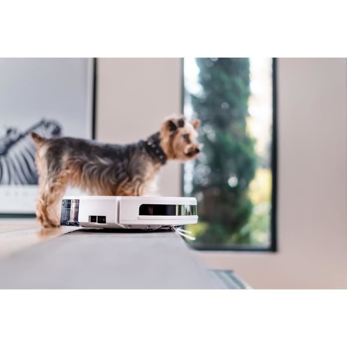 Petit chien sur un aspirateur EZIclean Aqua Xpert Animal S450 connecté