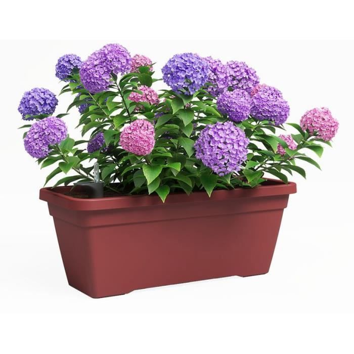 Jardiniere - Plastique - Rouge Foncé - Rectangulaire - L77,9 x P24 x H22cm - ARTEVASI - Paloma Tech