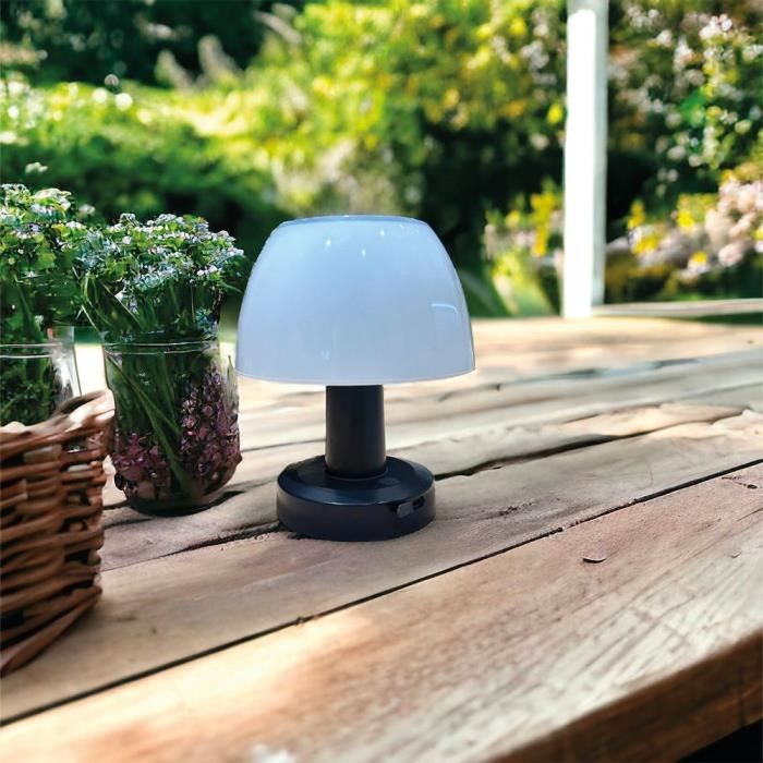 Lampe de table solaire - LUMISKY - LUMINA - LED blanc 4 intensités LUMISKY