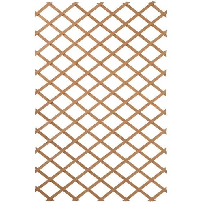 Nature Treillis de jardin 100 x 300 cm Bois Marron 419779 NATURE