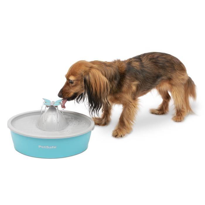 PetSafe - Fontaine a Eau Papillon pour chat et chien Drinkwell, 4 Différents Flux, Double Filtration, Facile a nettoyer, 1,5 L - Paloma Tech