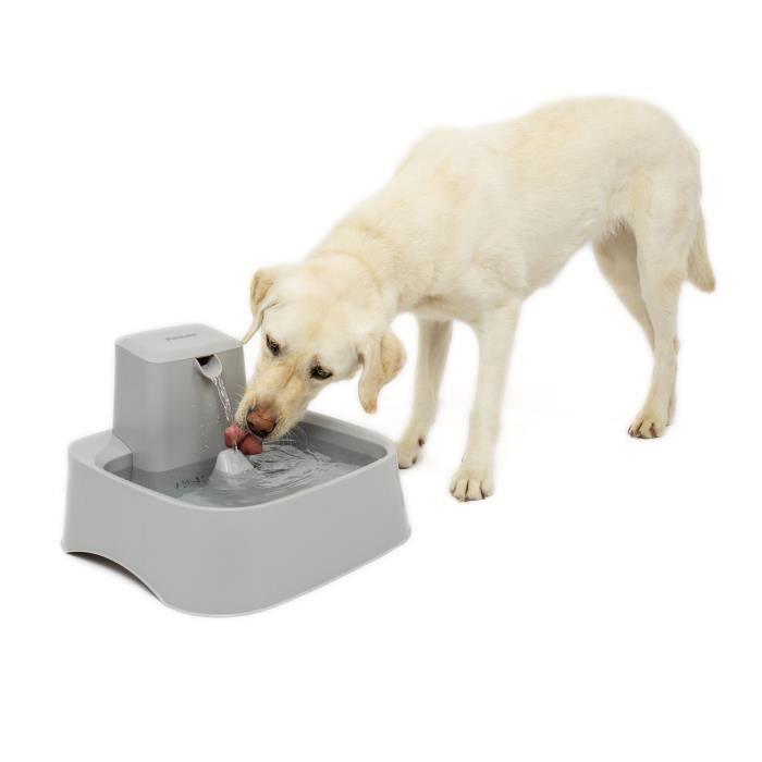 PetSafe - Fontaine Drinkwell 7,5 litres pour Grandes Races de Chiens/Plusieurs Animaux de Compagnie, Facile a Nettoyer et - Paloma Tech