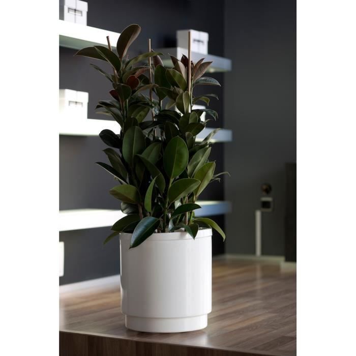 PLASTIKEN Pot de fleurs a réserve d’eau Hidrojardinera - Ø22 cm - Blanc