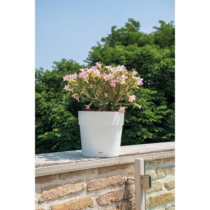 Pot de fleur - DEROMA - Vaso Save R - 58L - 48cm - Blanc DEROMA