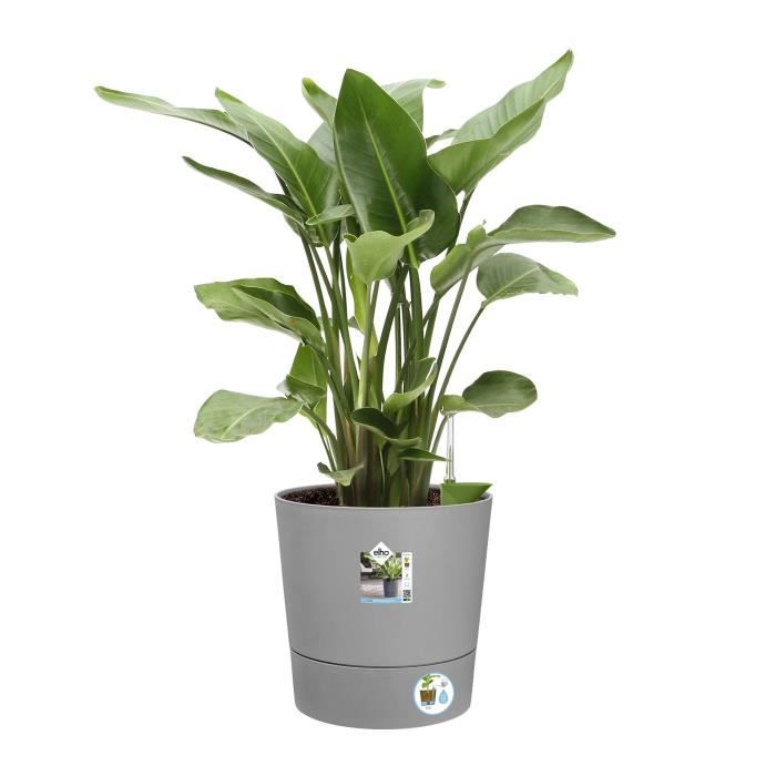 Pot de fleur Elho Plastique Carré Greensense Aqua Care Ciment Clair Ø 43 x H 42.5 cm 39 L ELHO GIVE Room TO Nature