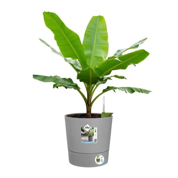 Pot de fleur Elho Plastique Carré Greensense Aqua Care Ciment Clair 29,5 x 29,,5 x H 29,1 cm 15 L ELHO GIVE Room TO Nature