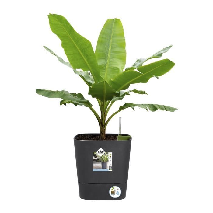 Pot de fleur Elho Plastique Carré Greensense Aqua Care Gris Charbon 29,5 x 29,5 x H 30,2 cm 15 L ELHO GIVE Room TO Nature