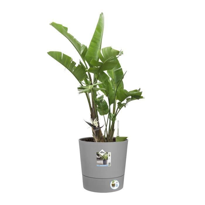 Pot de fleur Elho Plastique Rond Greensense Aqua Care Ciment Clair Ø 34.5 x H 34.1 cm 35 L ELHO GIVE Room TO Nature