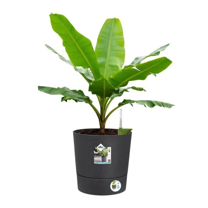 Pot de fleur Elho Plastique Rond Greensense Aqua Care Gris Charbon Ø 34.5 x H 34.1 cm 35 L ELHO GIVE Room TO Nature