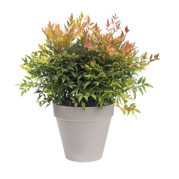 Pot de fleur Elho Plastique Rond Loft Urban Gris anthracite Ø 50 cm 48 l ELHO GIVE Room TO Nature