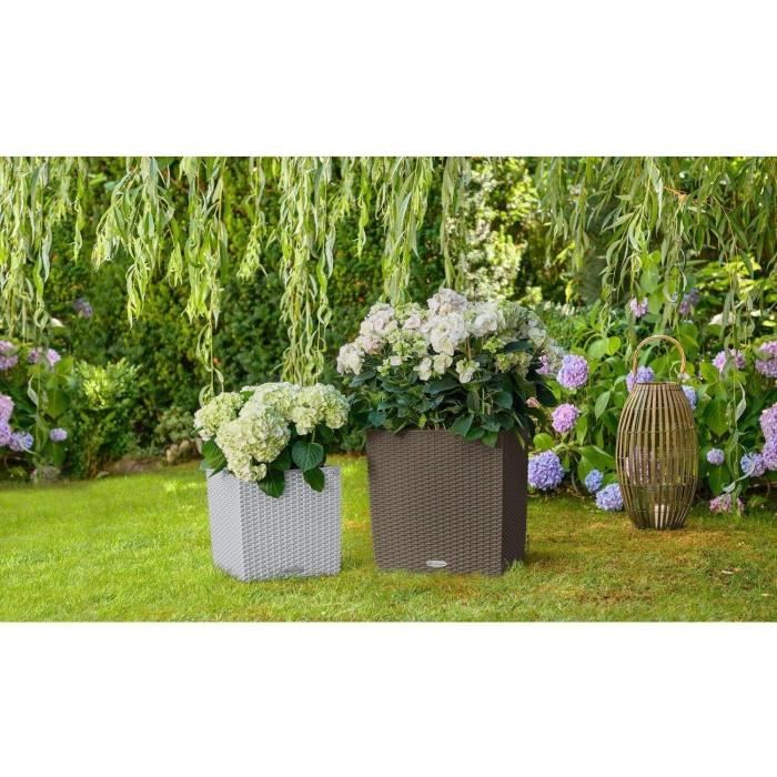 Pot de fleur LECHUZA Cube Cottage 50 - kit complet gris clair