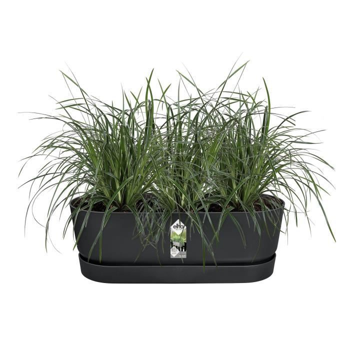 Pot de fleurs ELHO Greenville Easy Balcony 52 - Living Noir - Balcon - L 21.2 x W 52 x H 19.4 cm ELHO